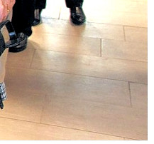 DIE HARKE vom 09.03.2018-Teilbild